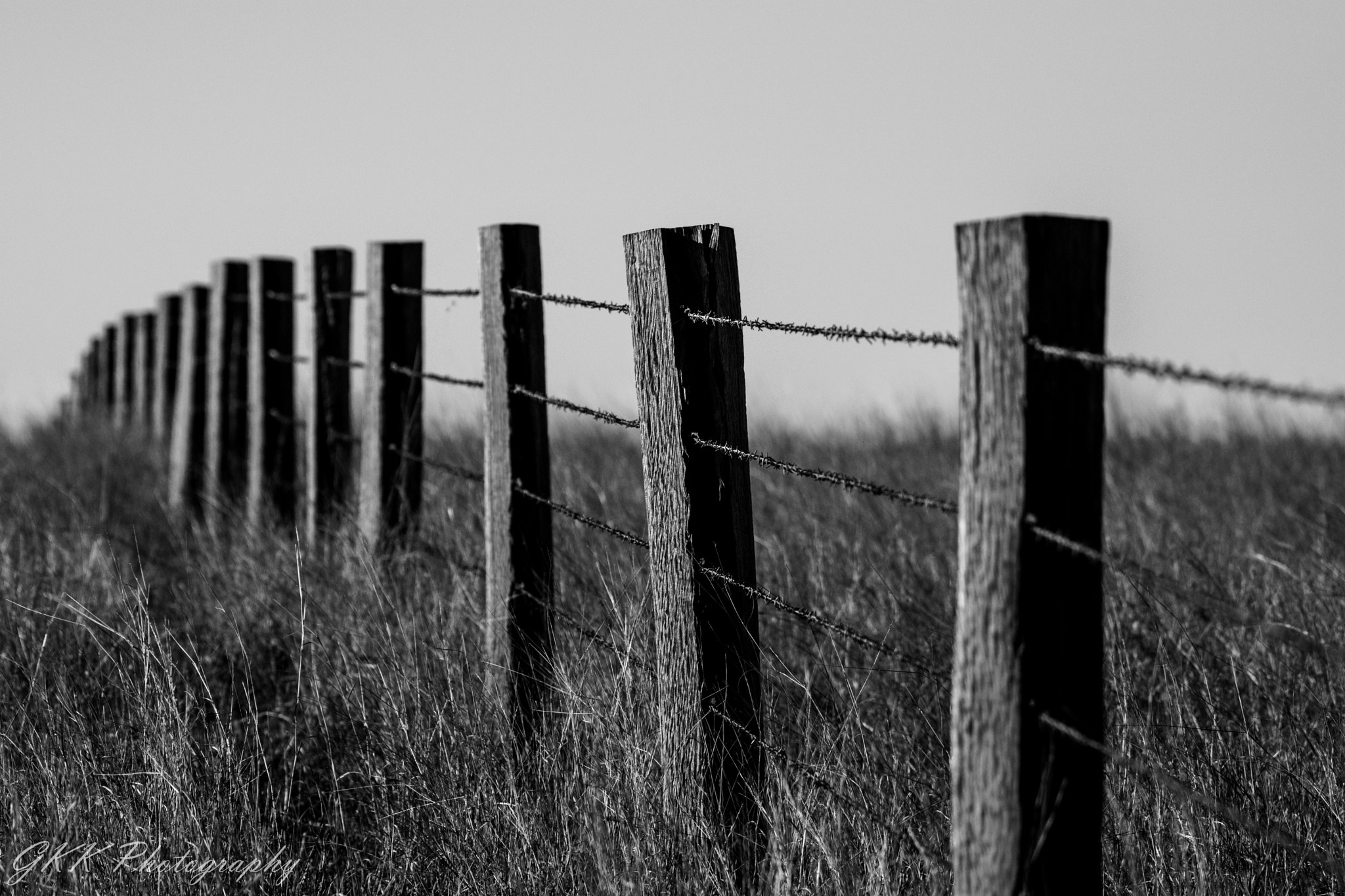 Nikon AF-S Nikkor 200-500mm F5.6E ED VR sample photo. Fence line into the distance photography