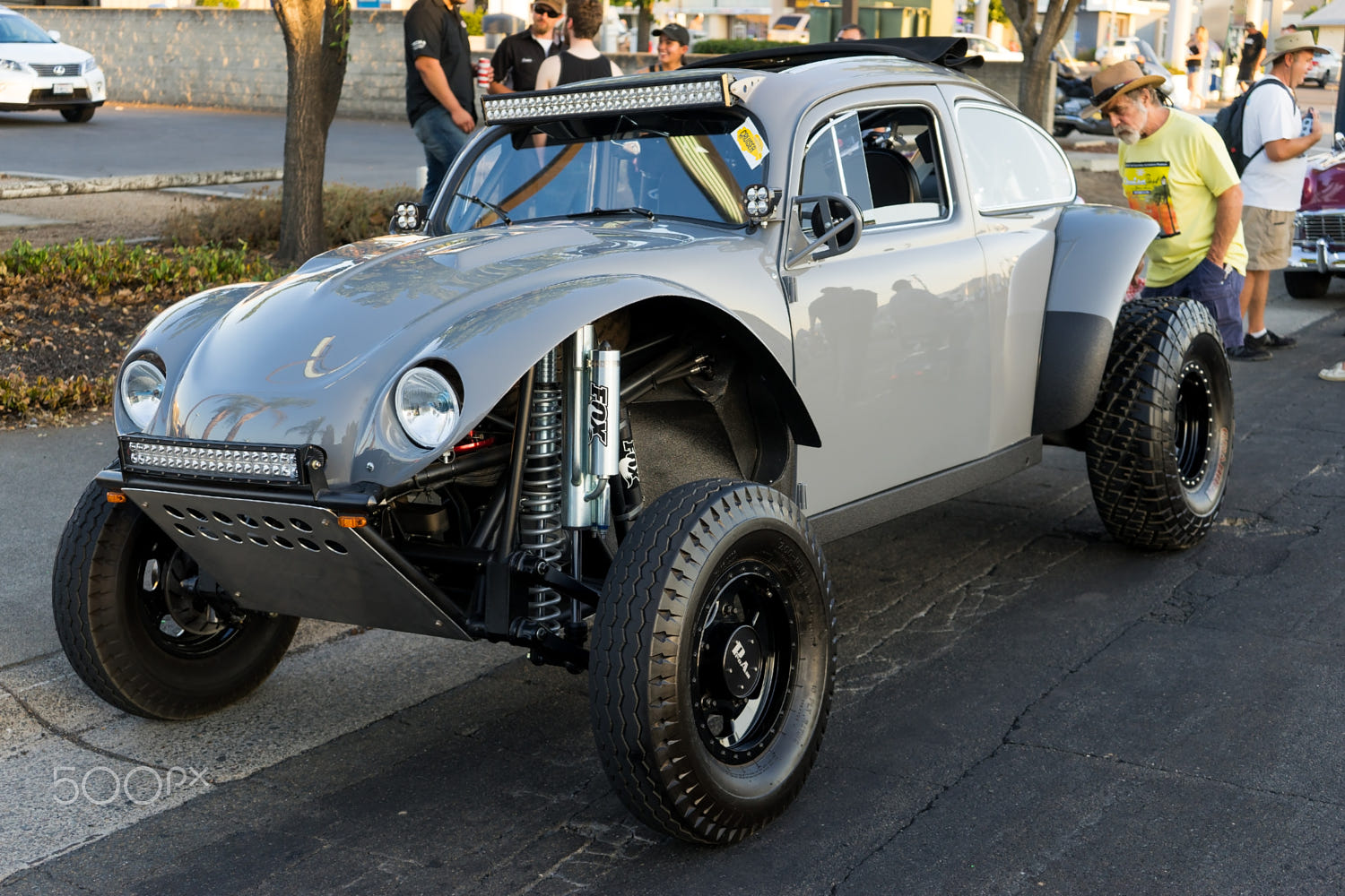 rustler baja bug body
