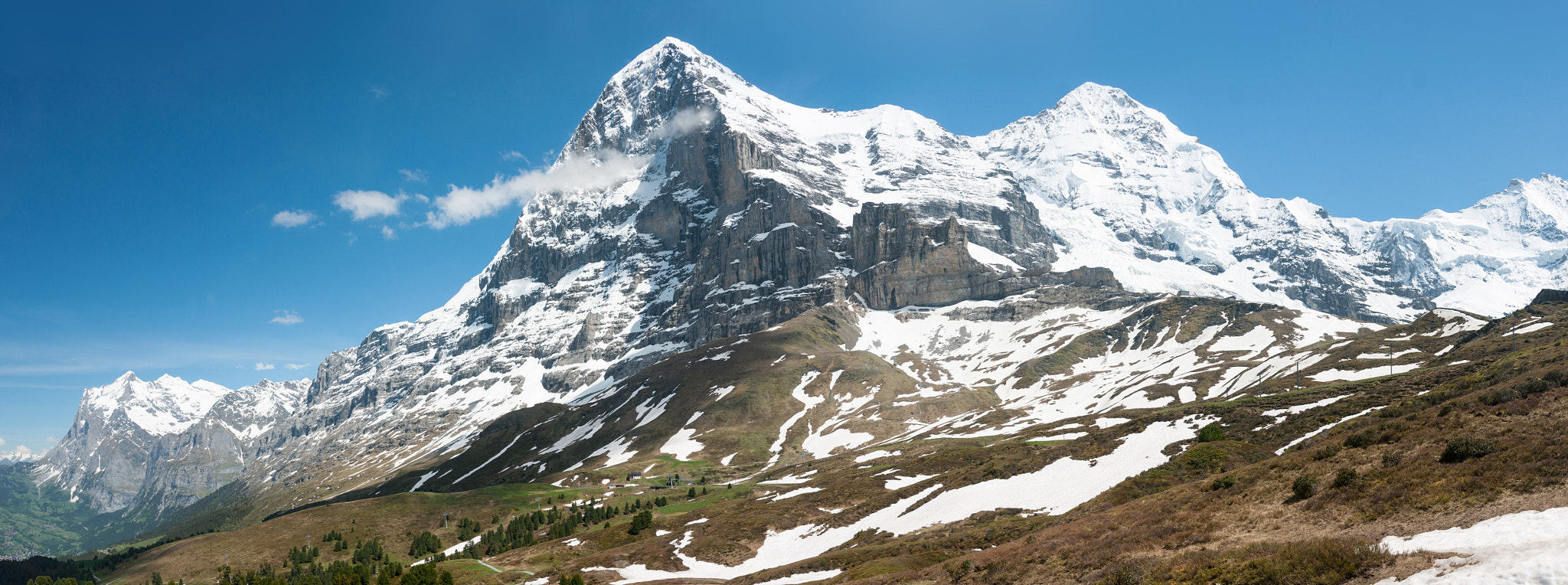 Nikon D90 sample photo. Male of jungfraujoch, eiger and monch photography