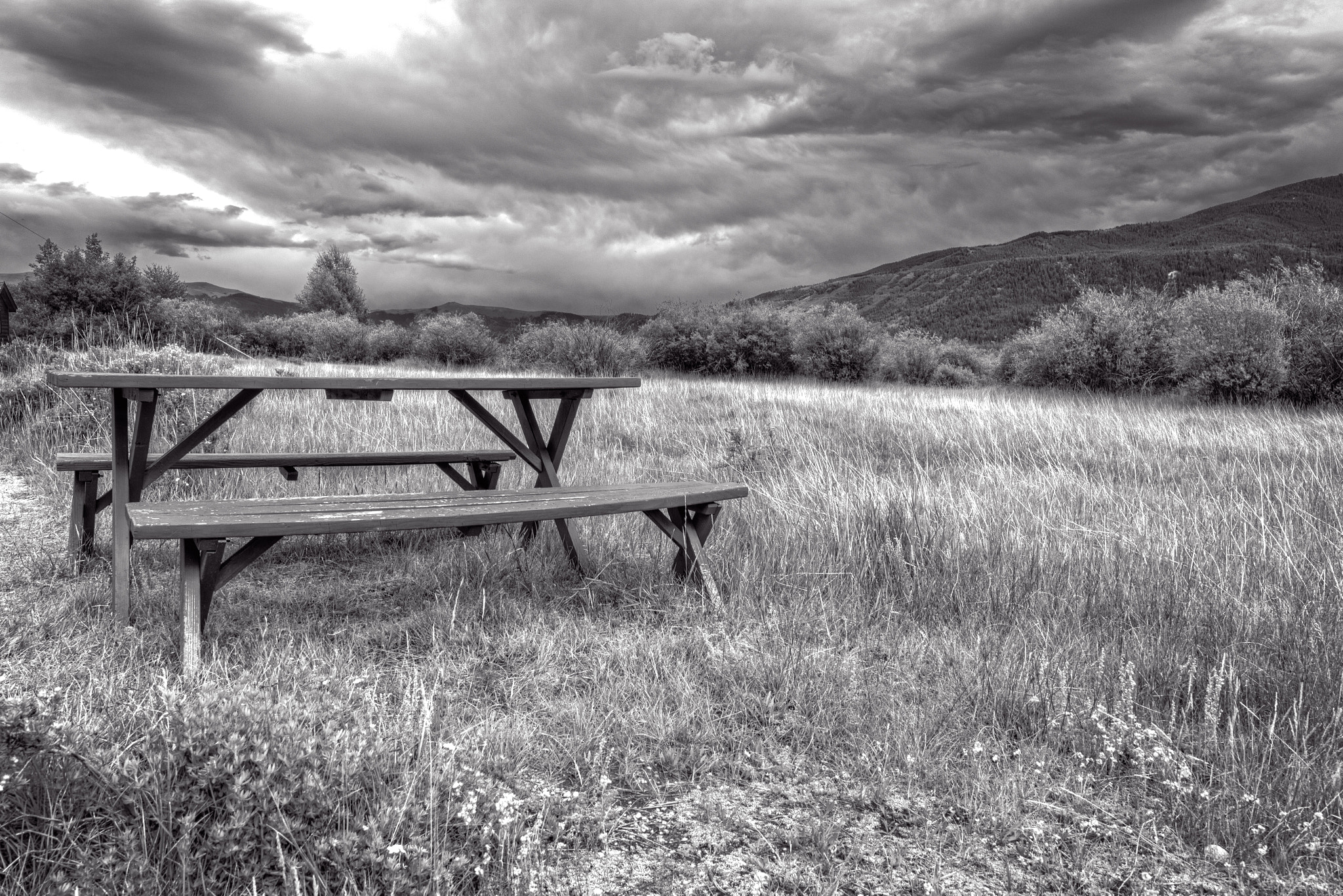 Canon EF 300mm f/2.8L sample photo. Picnic b&w photography