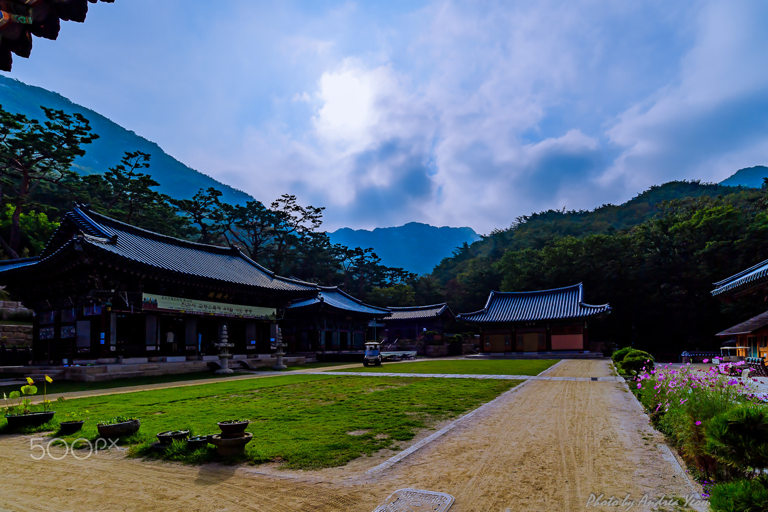 Nikon D5 sample photo. A buddhist temple photography