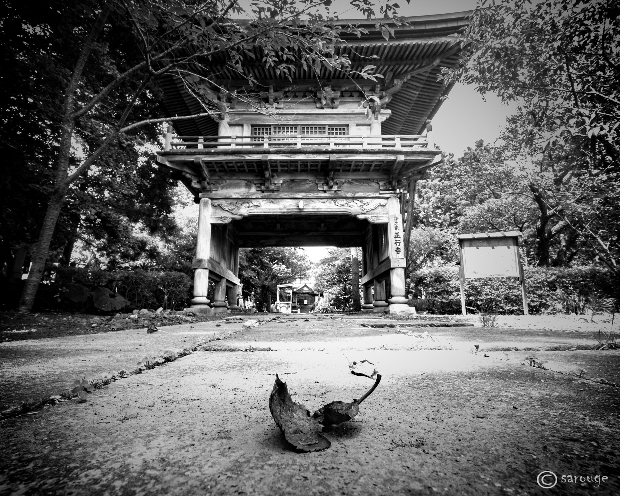 Fujifilm X-M1 + Fujifilm XF 10-24mm F4 R OIS sample photo. Matsumae edo park photography