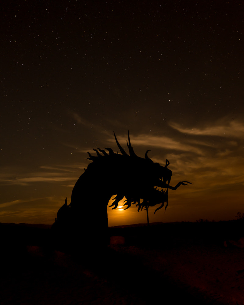 Nikon AF-S Nikkor 17-35mm F2.8D ED-IF sample photo. Desert serpant photography