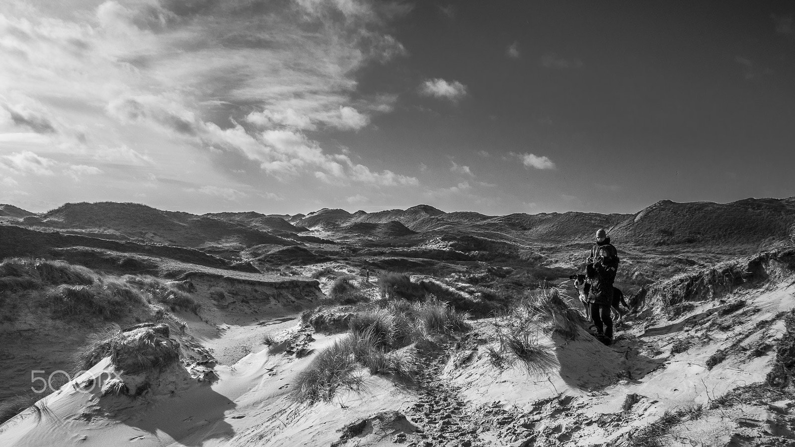 Olympus OM-D E-M5 + Panasonic Lumix G 14mm F2.5 ASPH sample photo. Photographer photography