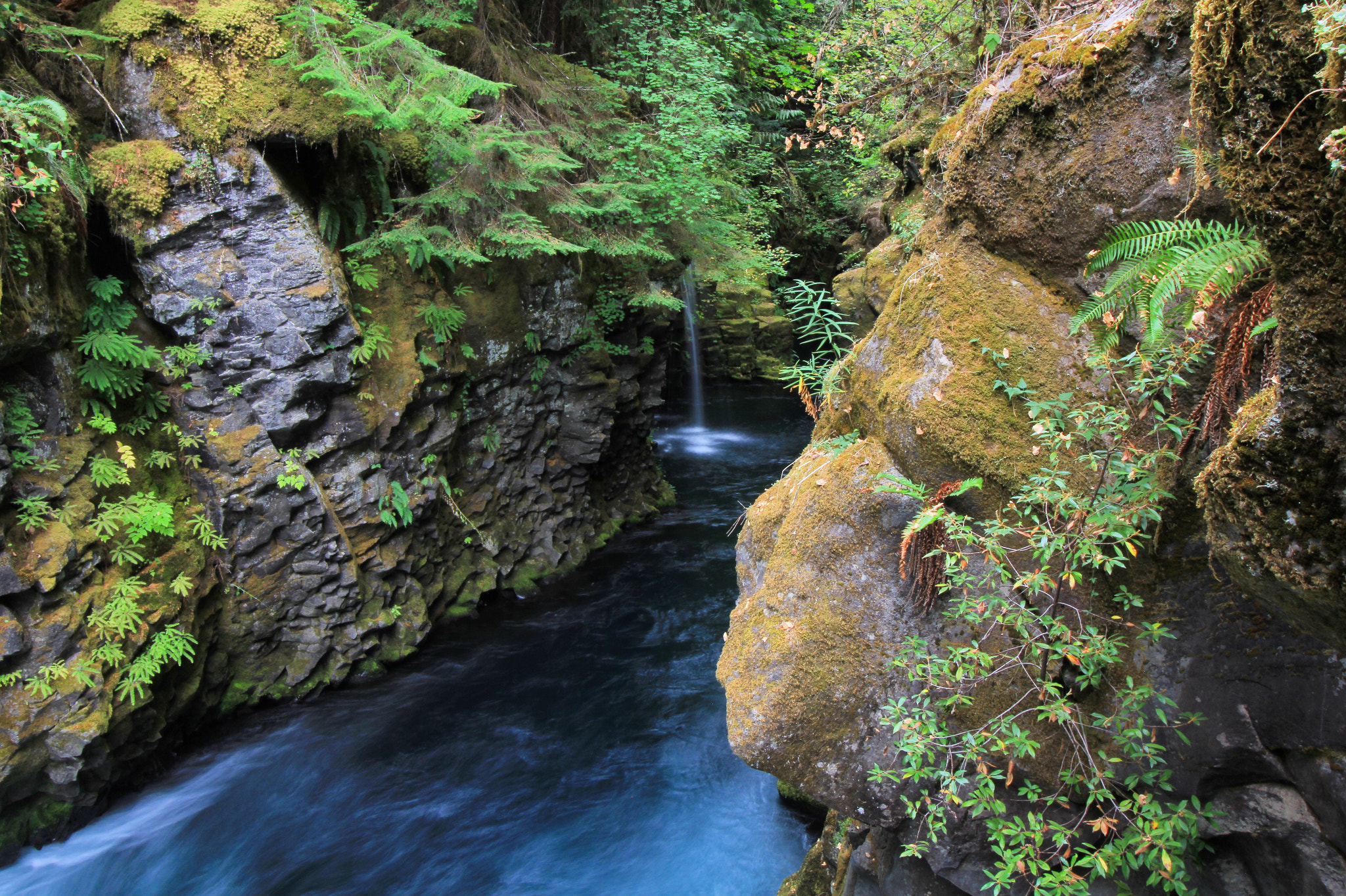 Canon EF-S 10-18mm F4.5–5.6 IS STM sample photo. The north umpqua river leading to toketee falls. photography