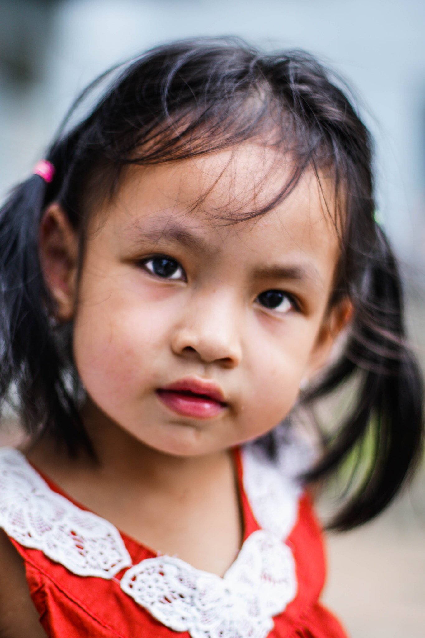 DT 50mm F1.4 SAM sample photo. Dsc photography
