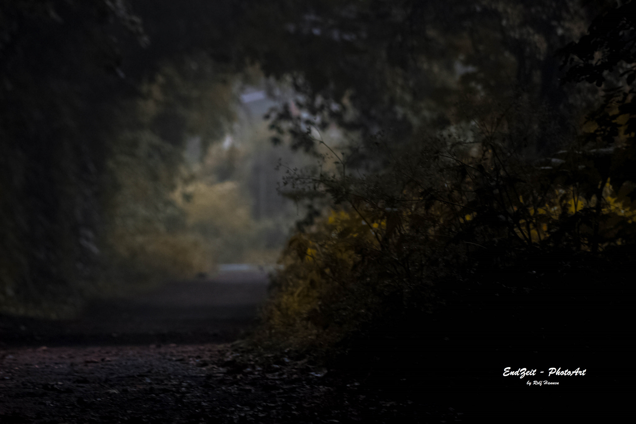Canon EF 75-300mm f/4-5.6 USM sample photo. ... a walk in the park iii ... photography