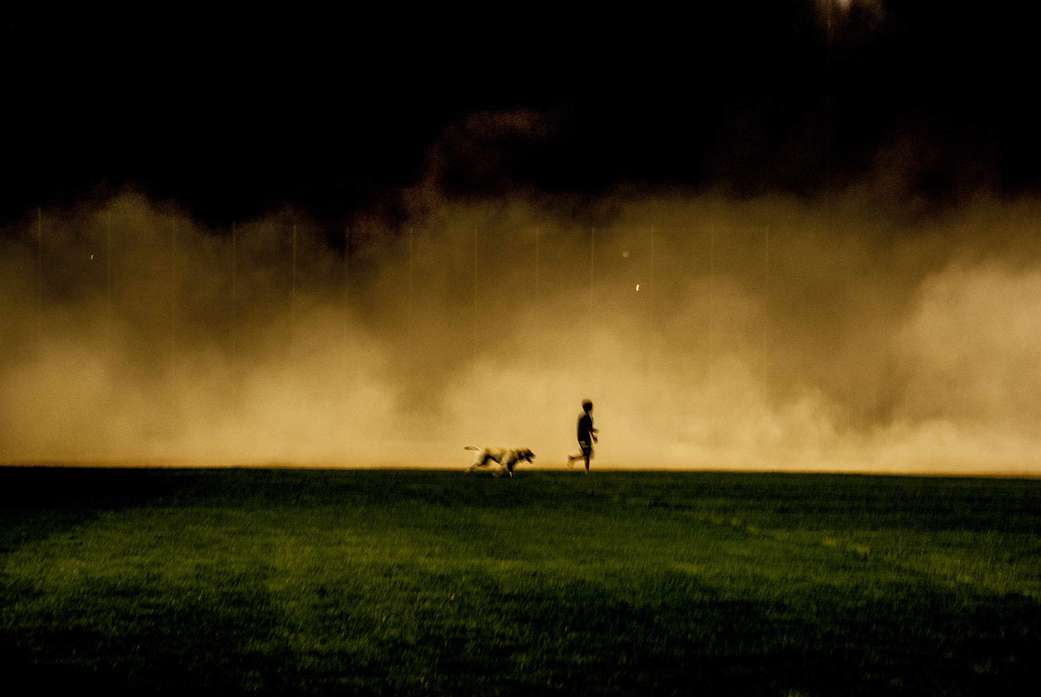Nikon D3000 sample photo. A boy and his dog photography