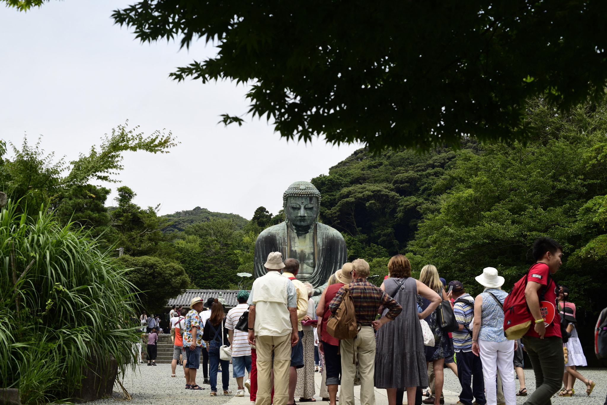 Nikon D810 + ZEISS Makro-Planar T* 50mm F2 sample photo. D photography