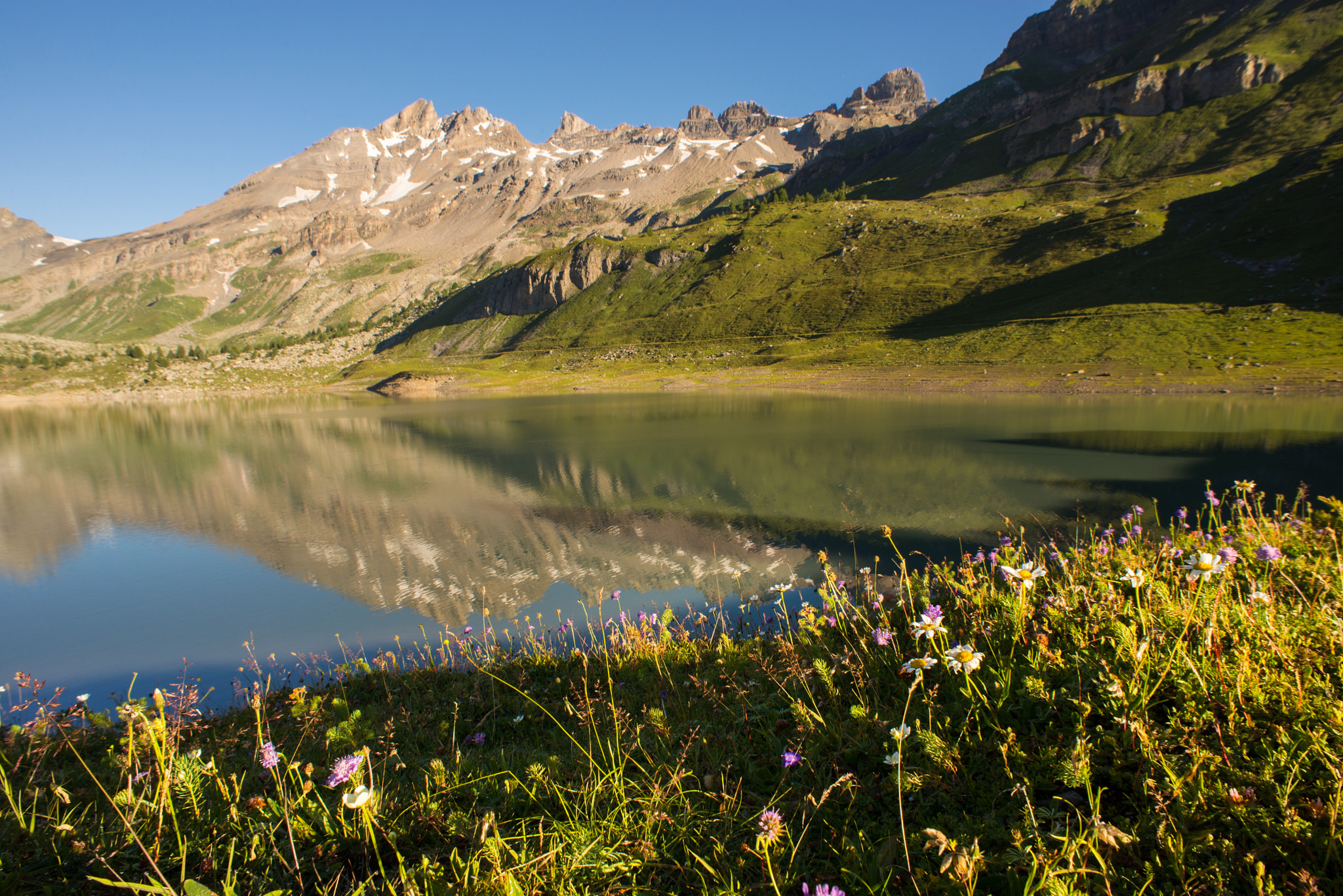 Nikon D610 sample photo. Dents du midi photography