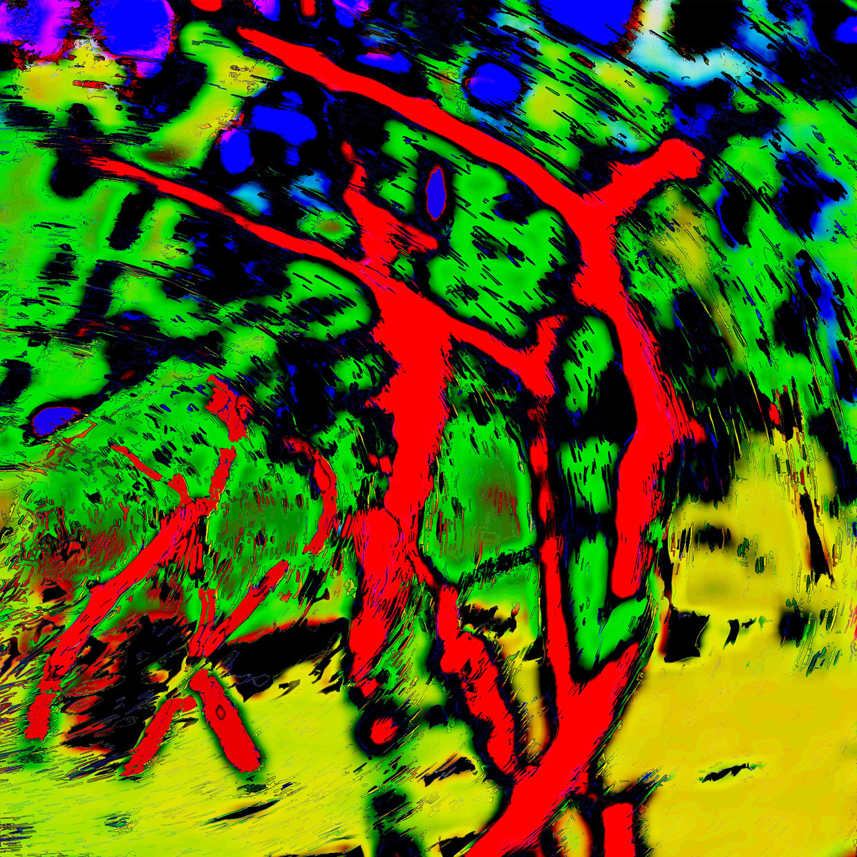 Canon EOS 500D (EOS Rebel T1i / EOS Kiss X3) sample photo. Dancing demons photography