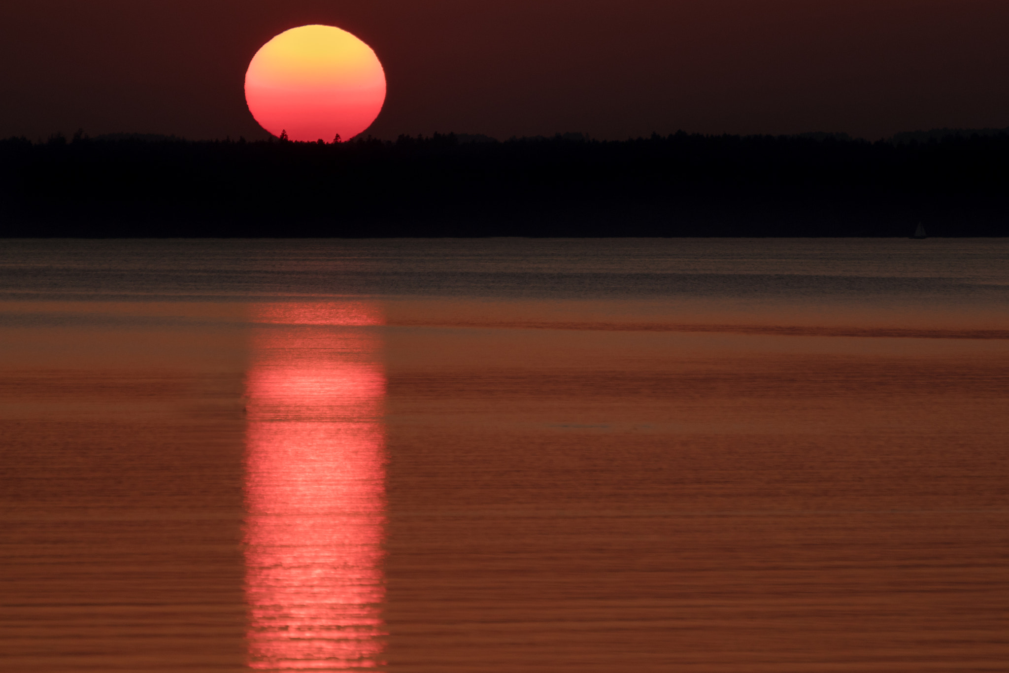 Tamron SP 35mm F1.8 Di VC USD sample photo. Sunset photography