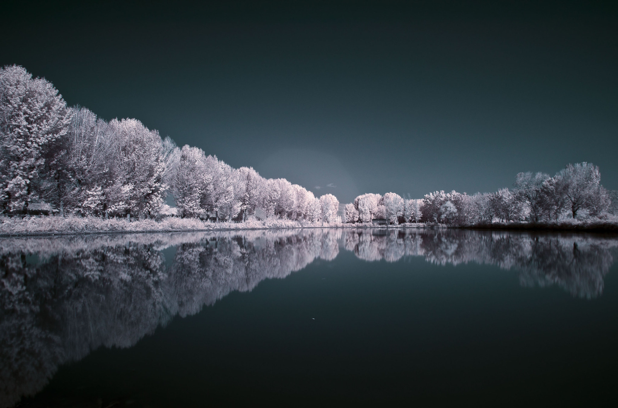 Pentax K-1 sample photo. White reflection in lake. photography