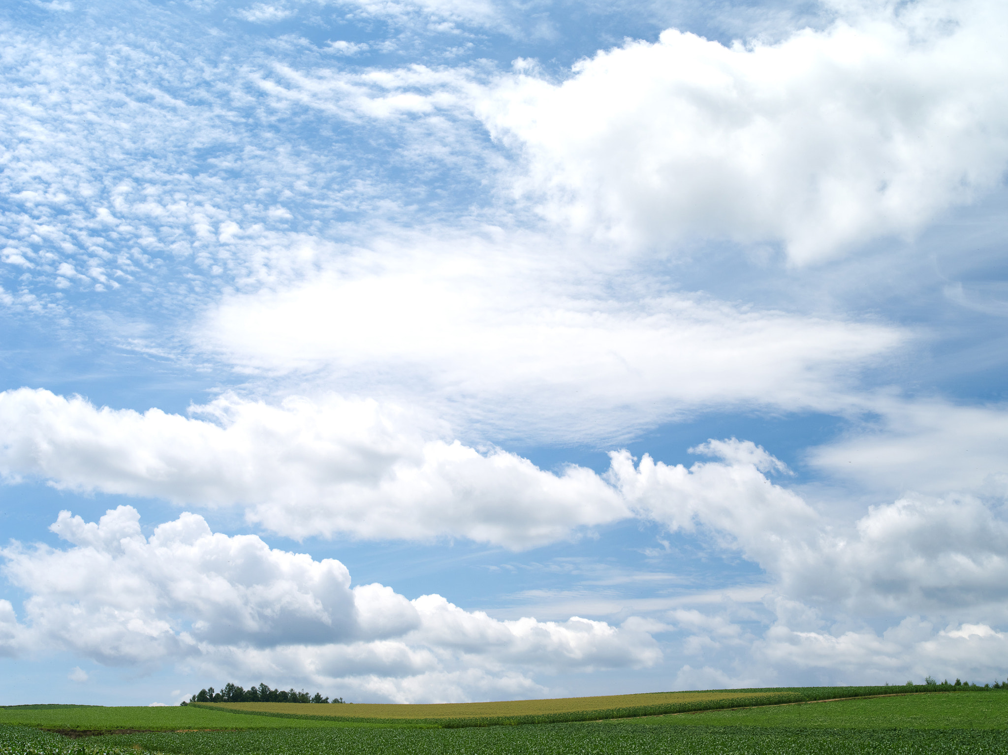 Pentax 645D sample photo. Summer sky  hokkaido biei photography