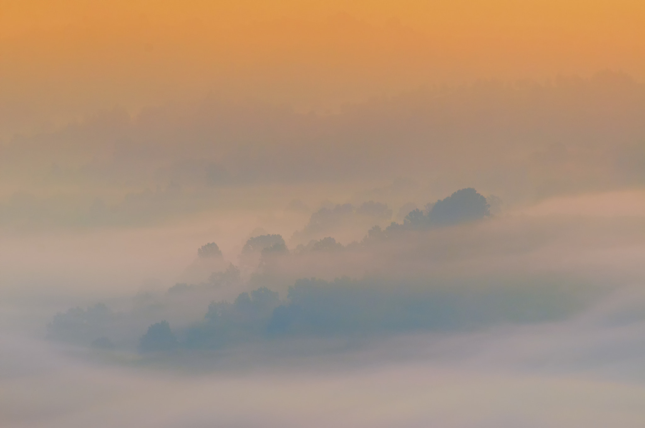 AF Zoom-Nikkor 75-300mm f/4.5-5.6 sample photo. Morning photography