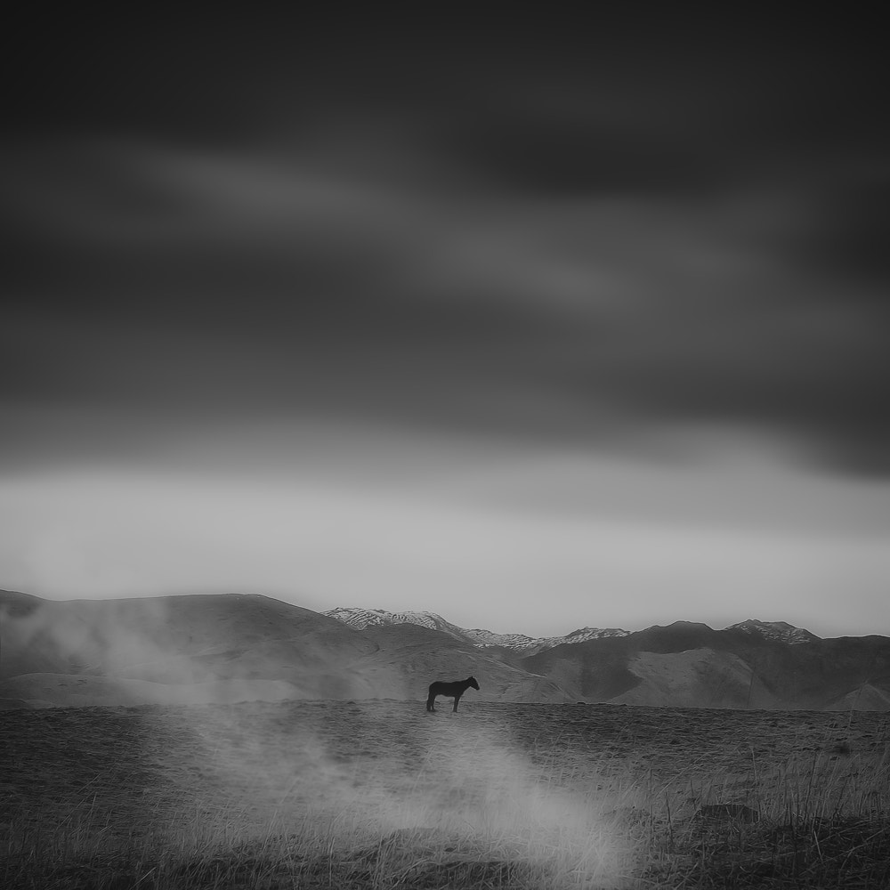 Canon EOS-1D Mark III sample photo. By photography