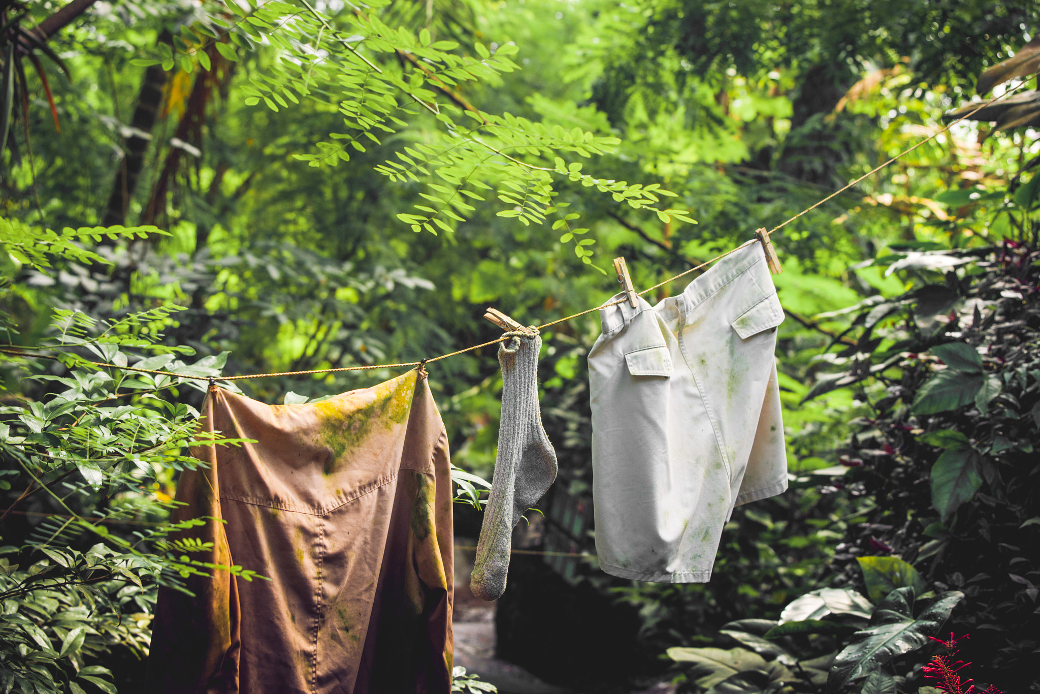 Sony Alpha DSLR-A900 + Sony 70-400mm F4-5.6 G SSM II sample photo. Dirty laundry on a wire photography