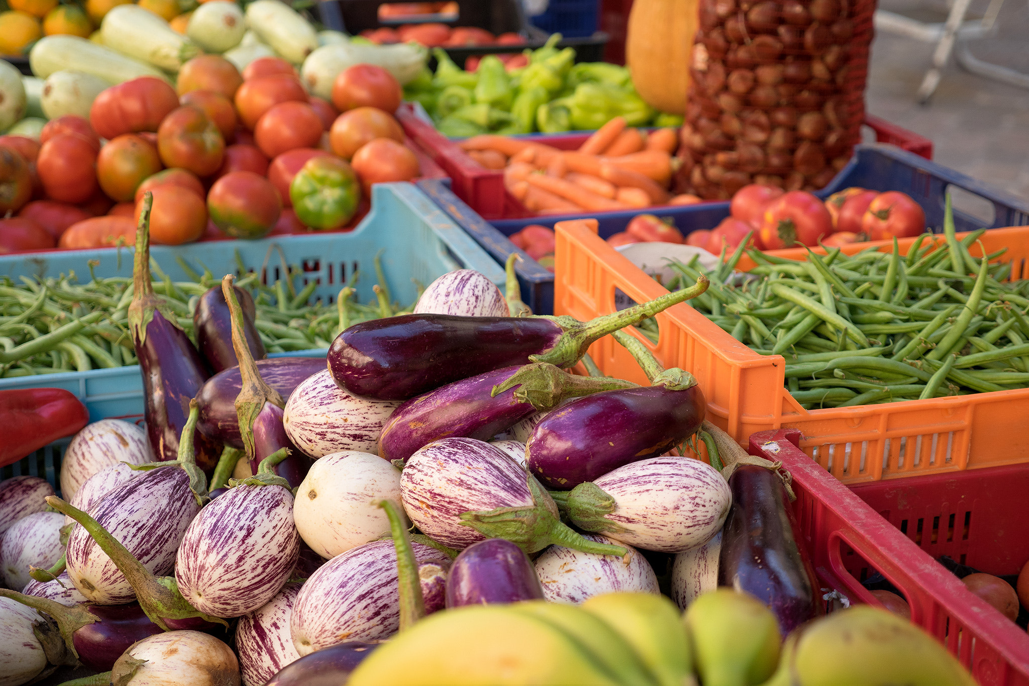 Panasonic Lumix G X Vario 12-35mm F2.8 ASPH Power OIS sample photo. Aubergine photography
