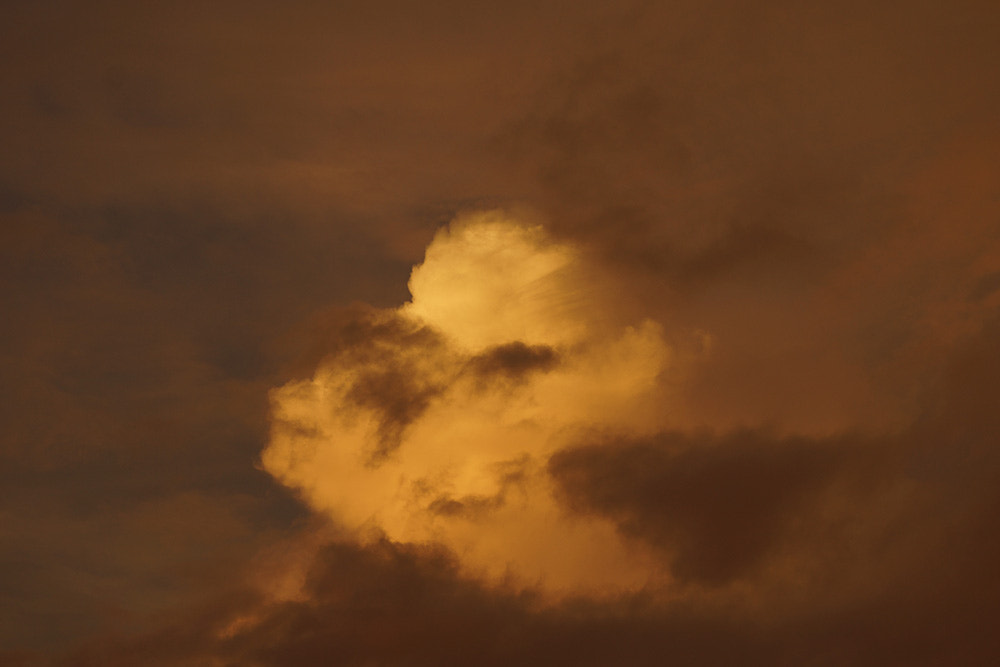 Sony 70-300mm F4.5-5.6 G SSM sample photo. Dsc photography