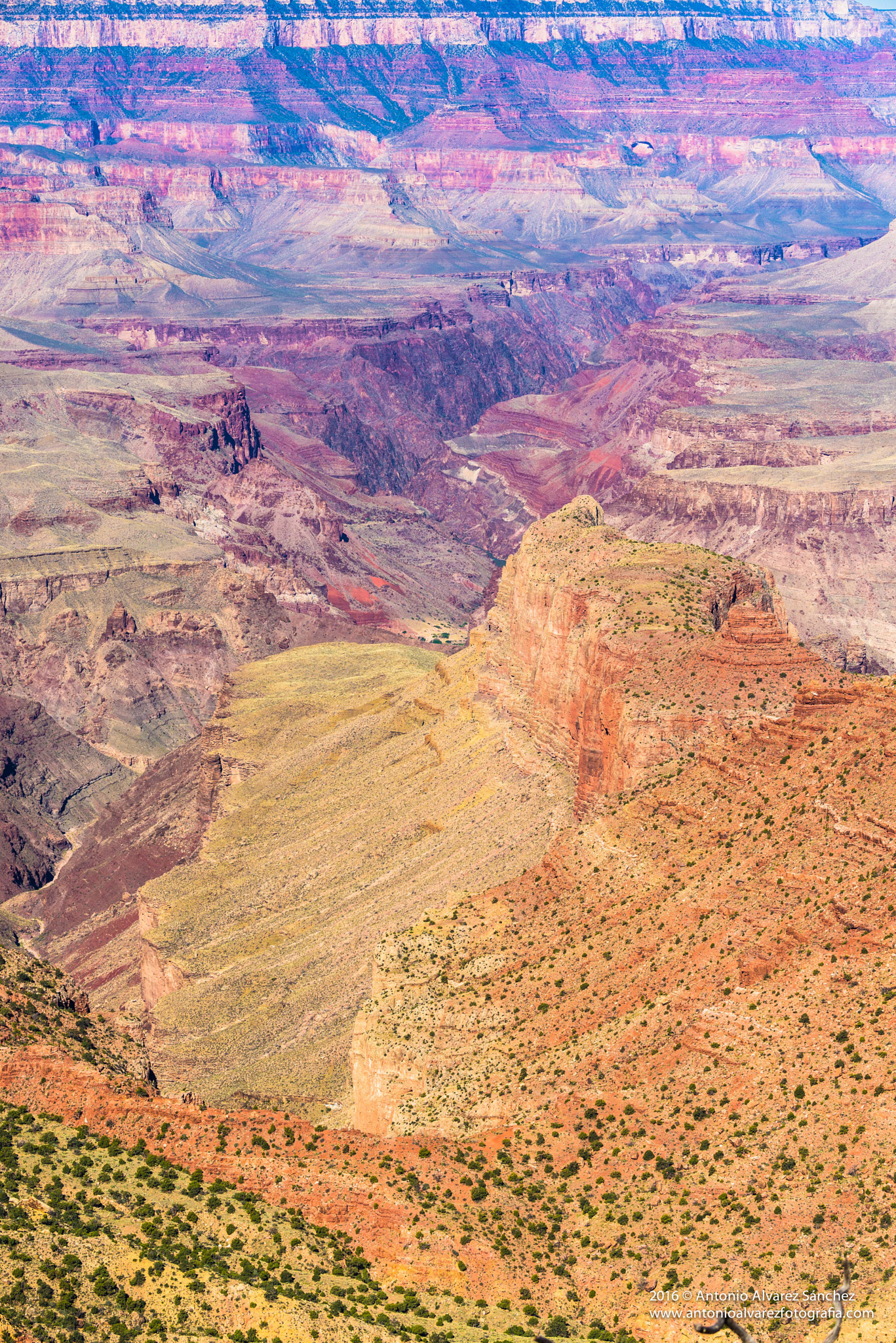 Nikon D610 sample photo. The colors of the canyon photography