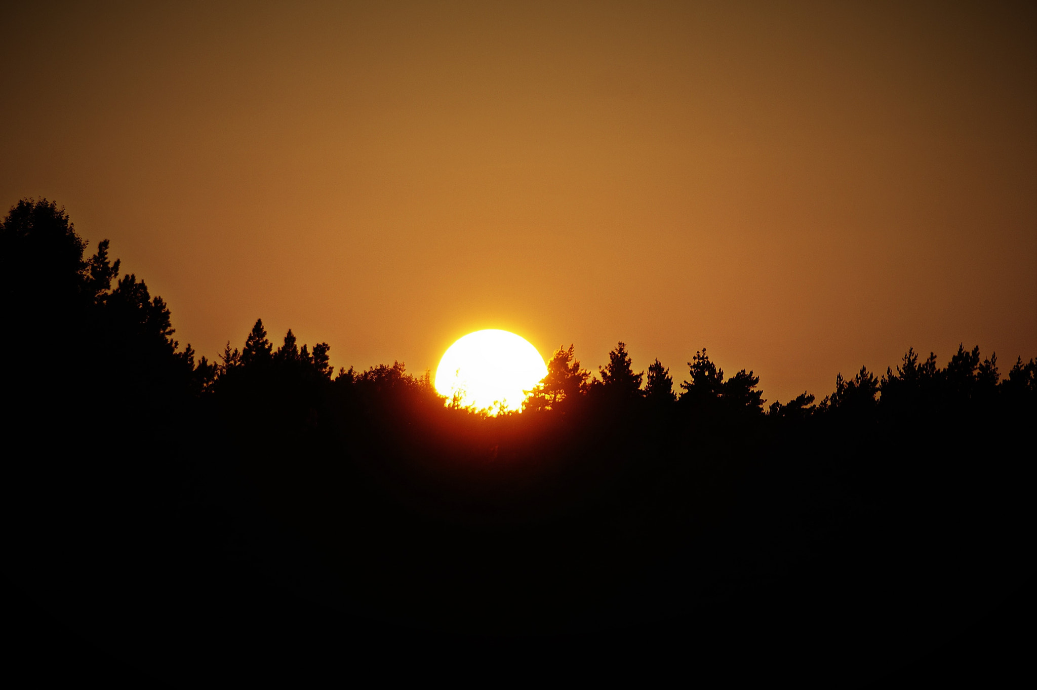 Sony DT 18-250mm F3.5-6.3 sample photo. Sunset photography