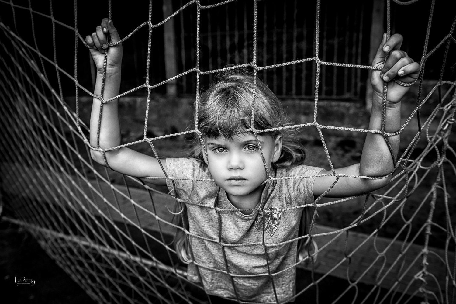 Sigma 18-35mm f/1.8 DC HSM sample photo. Football's fan photography