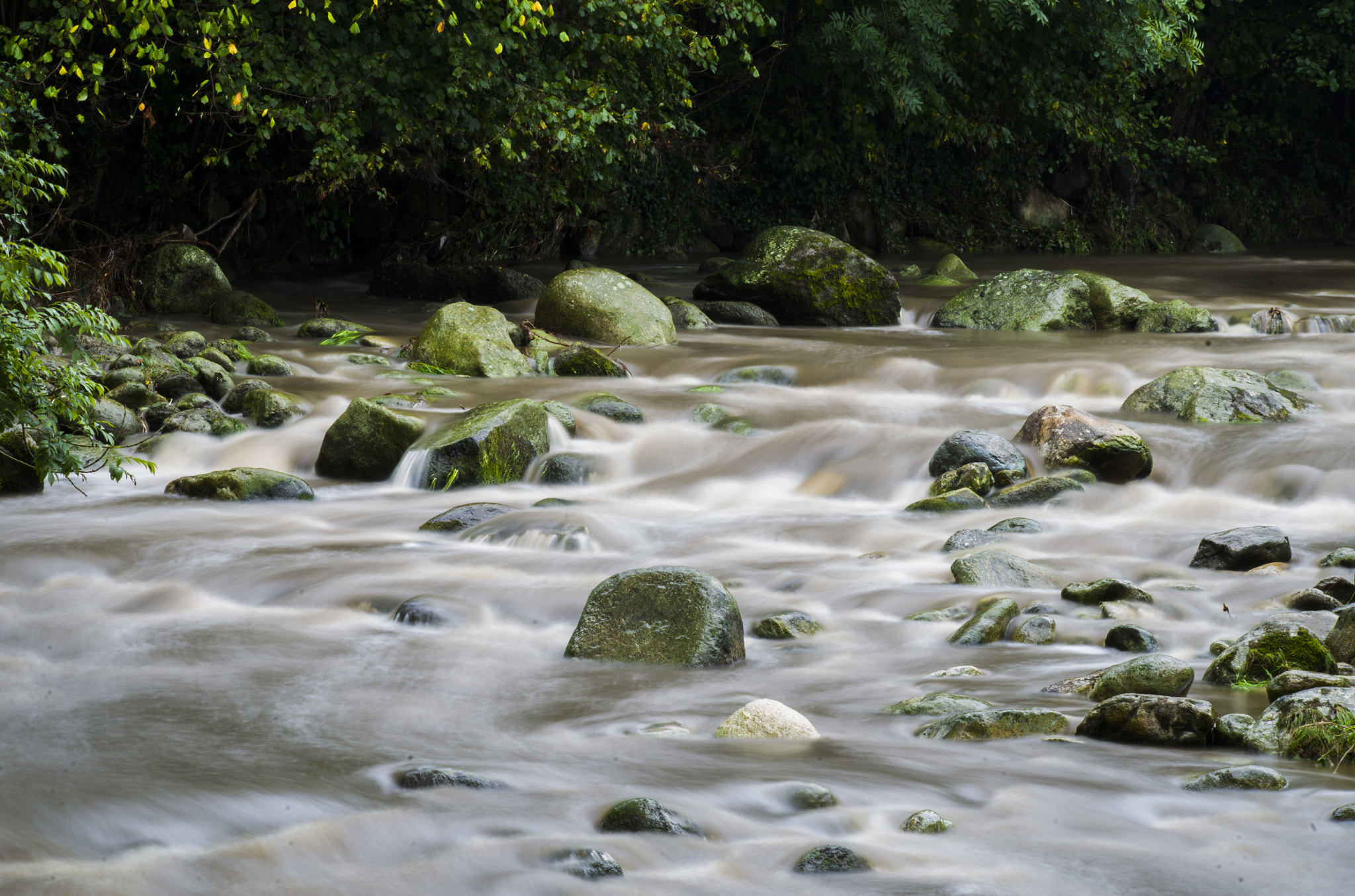 Pentax K-50 sample photo. Stream photography