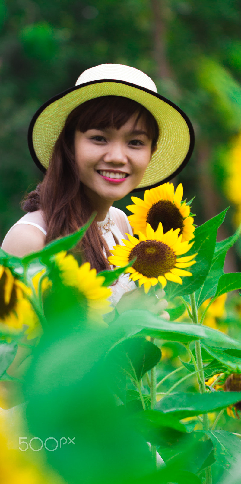 Canon EF 100mm F2.8 Macro USM sample photo. 29029856544.jpg photography