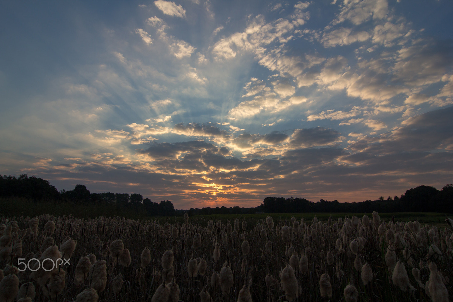 Tokina AT-X Pro 12-24mm F4 (IF) DX sample photo. Clouds are coming photography