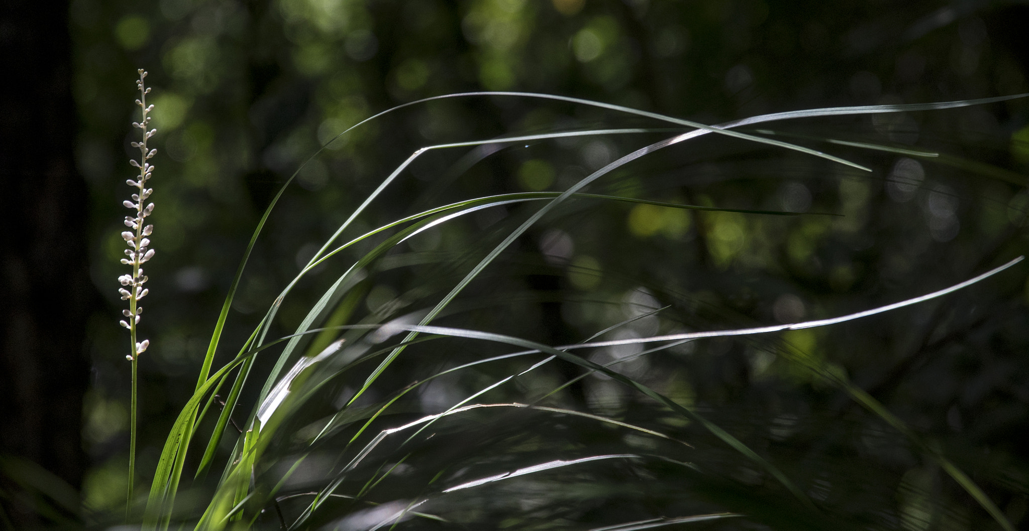 Sony a7 sample photo