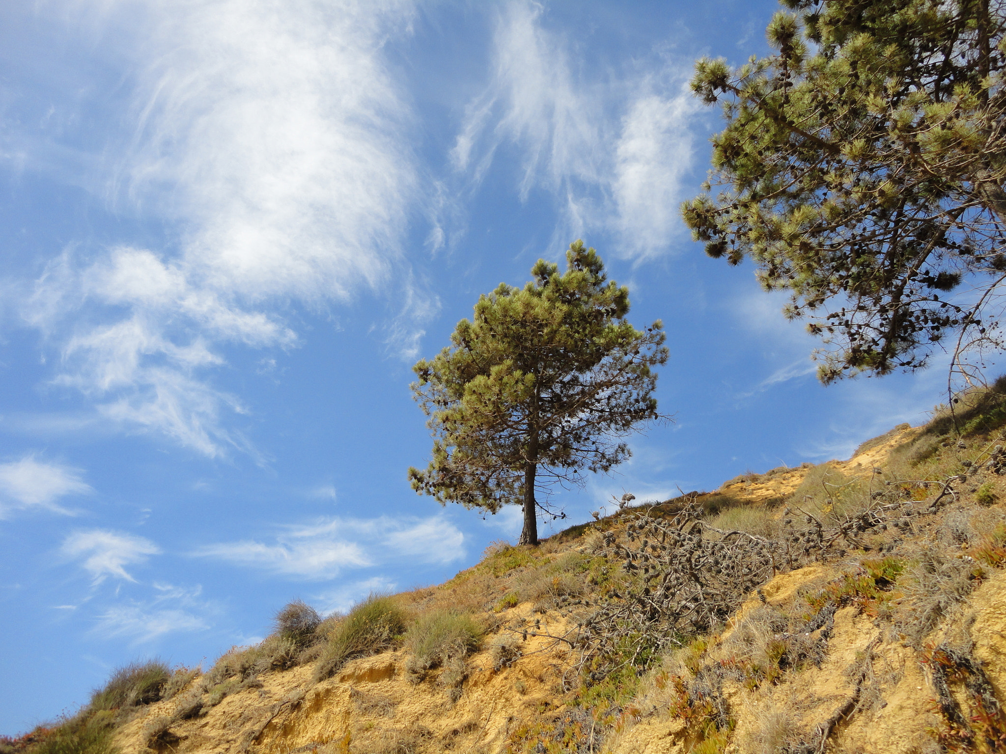 Sony DSC-W380 sample photo. Portugal - landscape  photography