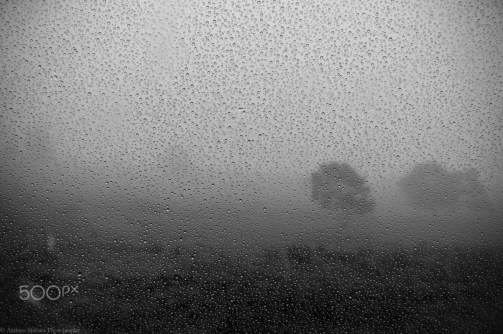 Pentax K-3 sample photo. Rainy day photography