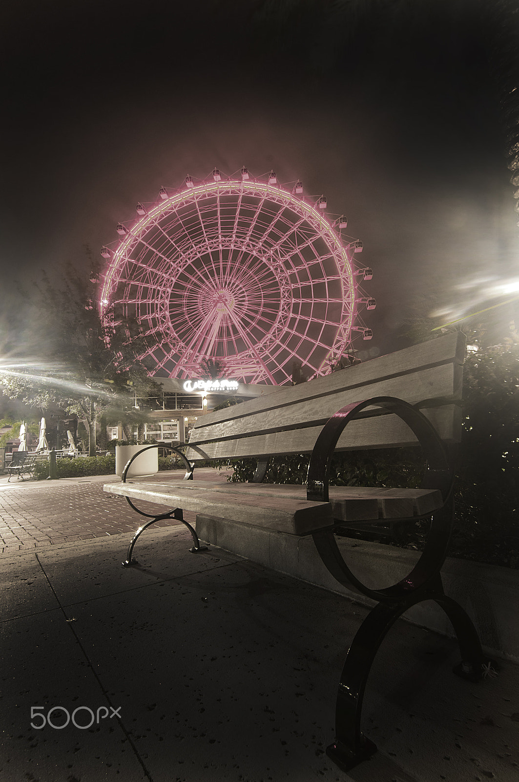 Nikon D5000 sample photo. Observation wheel at night photography