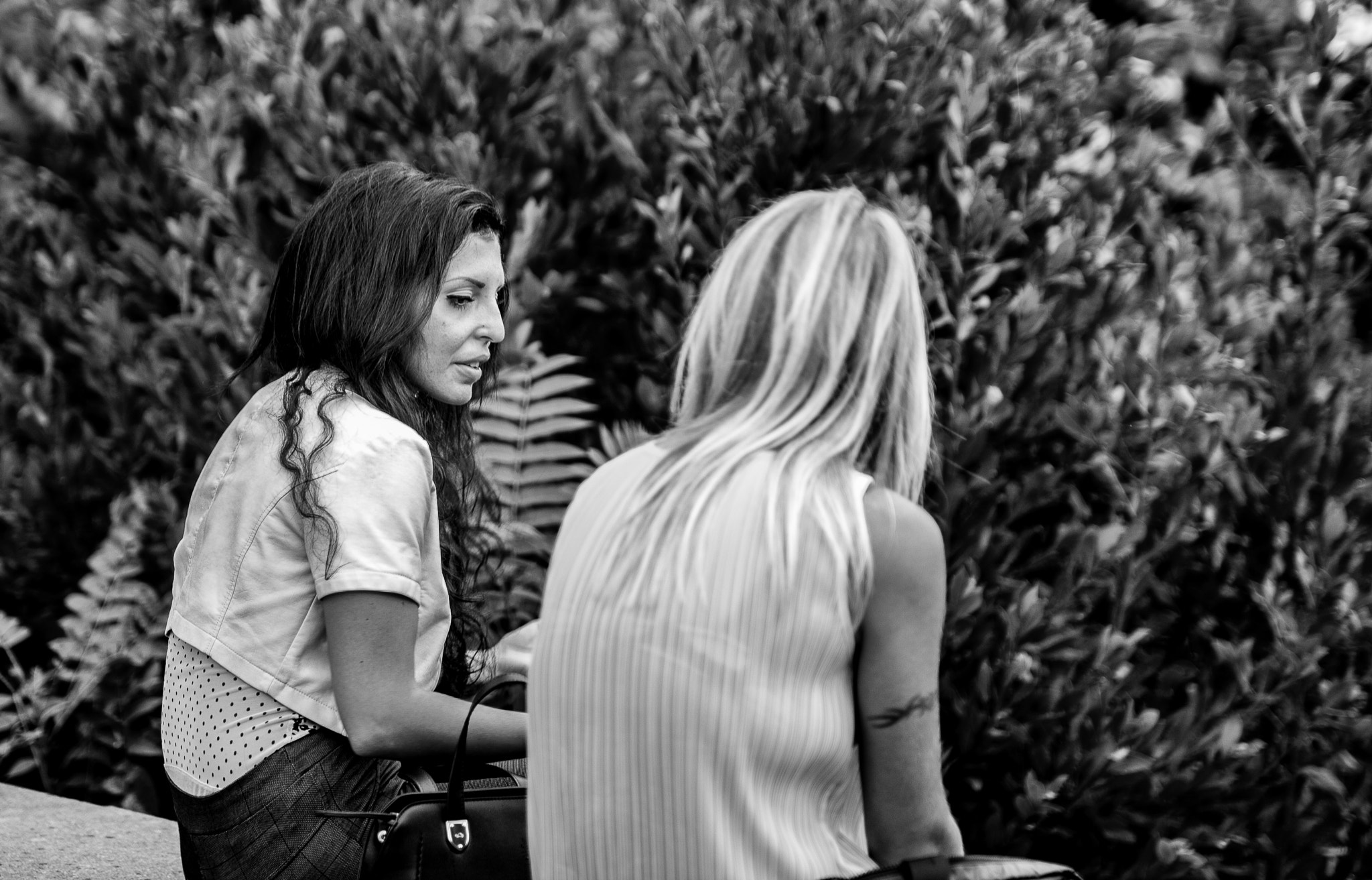 Sigma 50mm F1.4 EX DG HSM sample photo. Friends.. photography