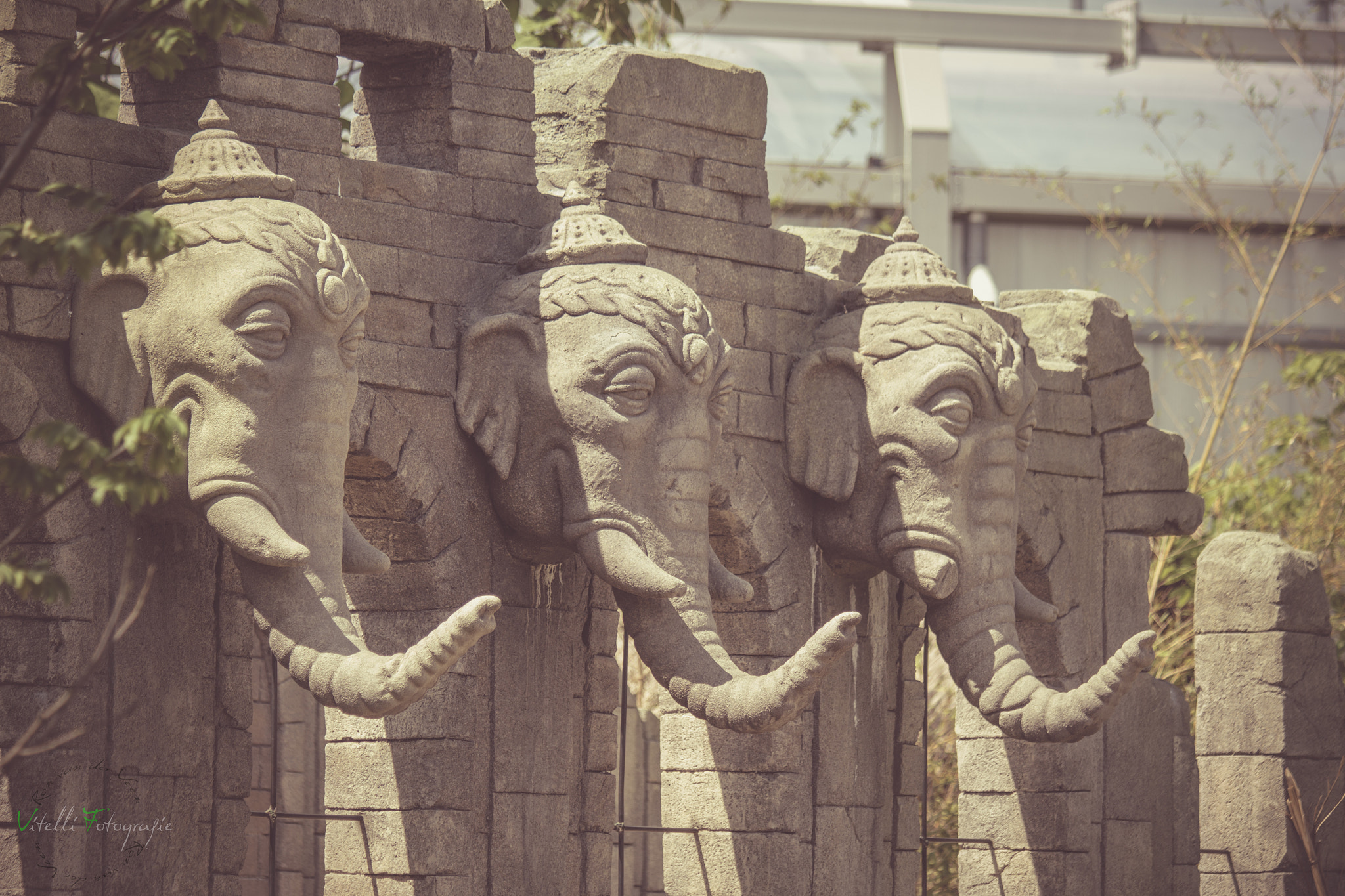 Canon EF 70-300mm F4-5.6 IS USM sample photo. Elephant wall photography