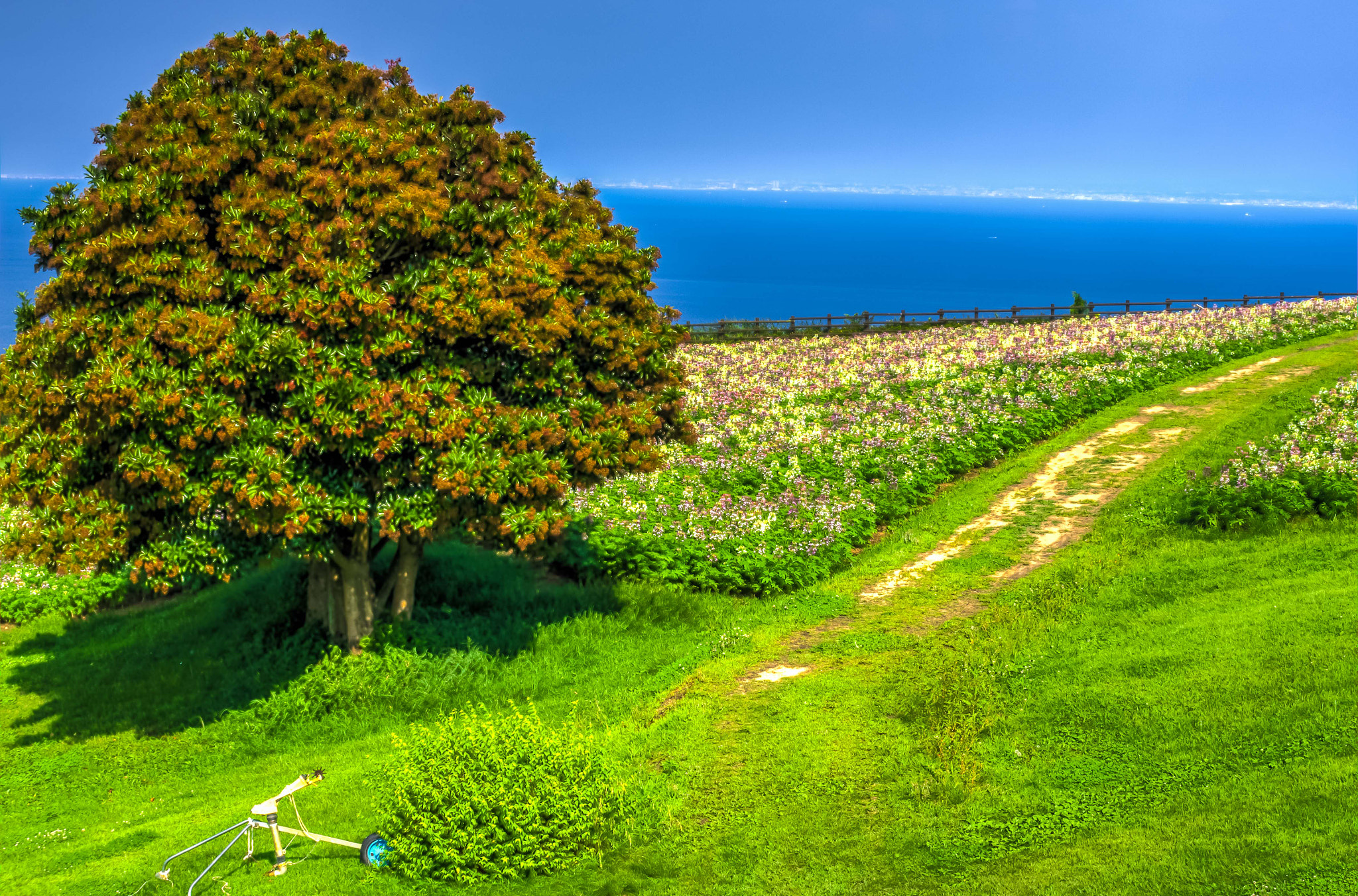 Pentax K-5 sample photo. Tonemapped photography