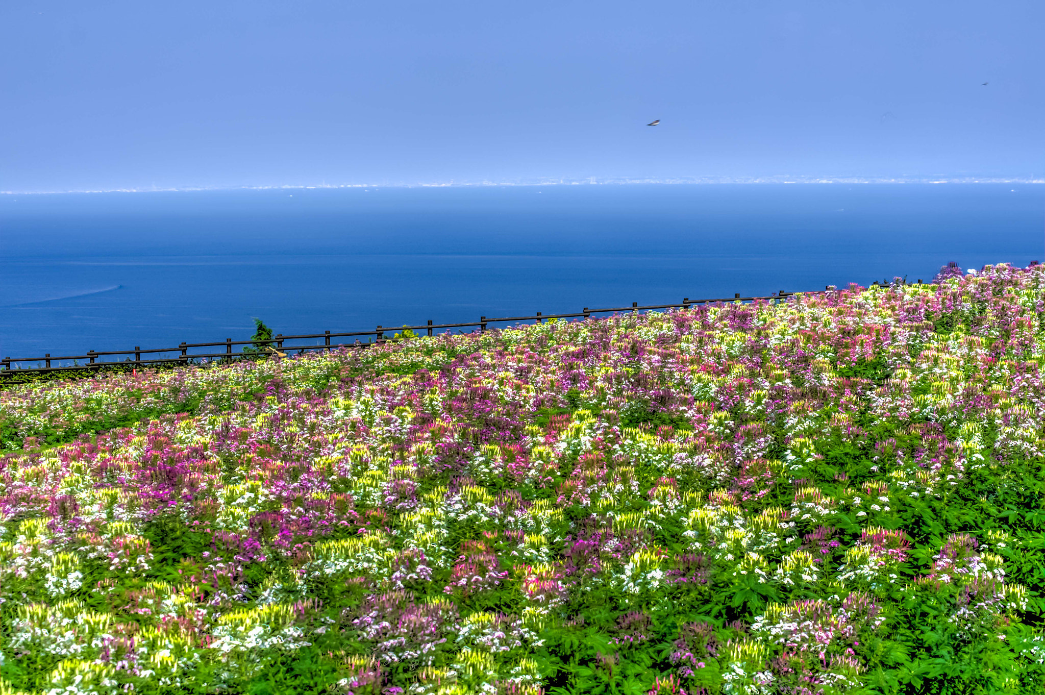 Pentax K-5 sample photo. Tonemapped photography