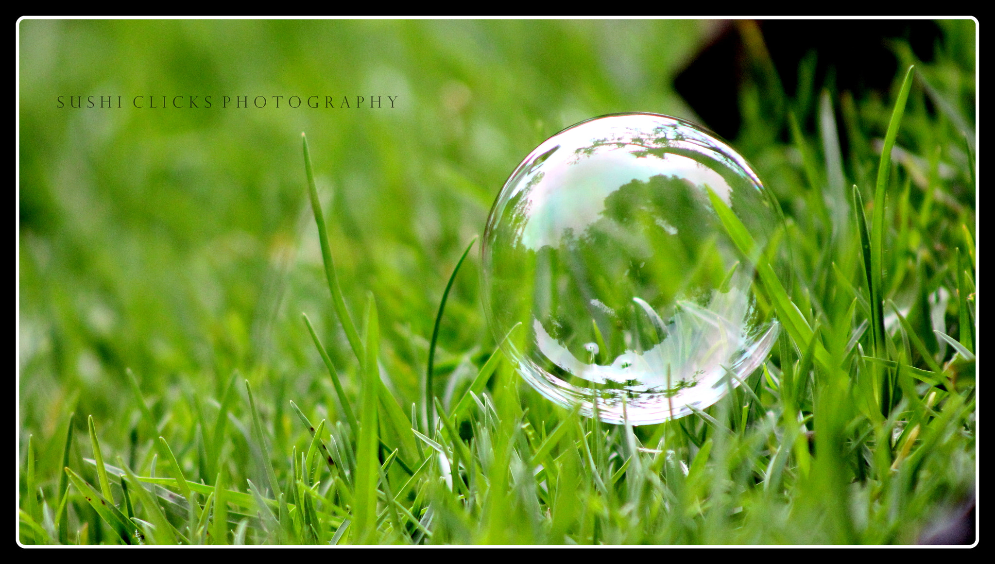 Canon EF 75-300mm f/4-5.6 USM sample photo. Life on earth.... photography