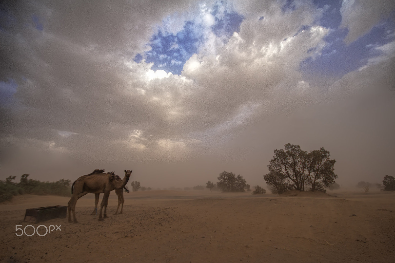 Canon EOS 100D (EOS Rebel SL1 / EOS Kiss X7) + Sigma 10-20mm F4-5.6 EX DC HSM sample photo. Sand storm photography