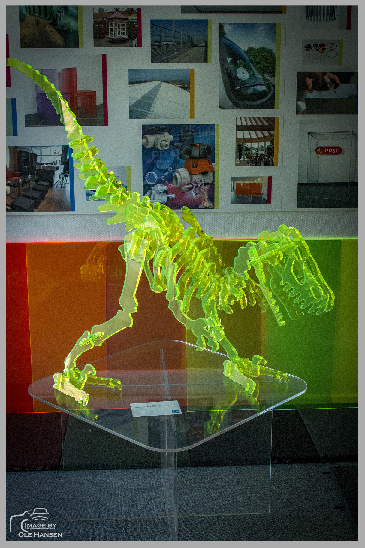 Canon EF 28-105mm f/3.5-4.5 USM sample photo. Dino photography