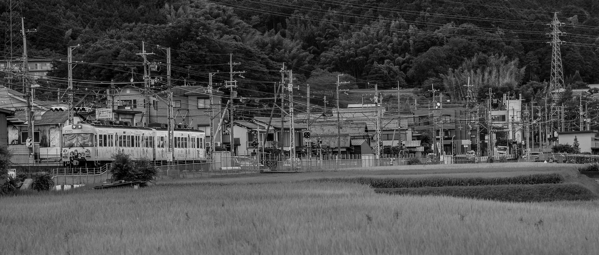 Nikon Df sample photo. Kyoto photography