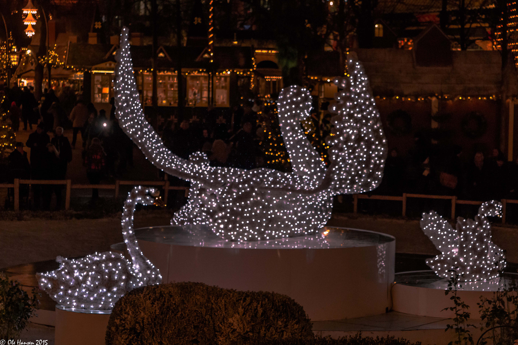 Canon EF 28-105mm f/3.5-4.5 USM sample photo. Tivoli photography