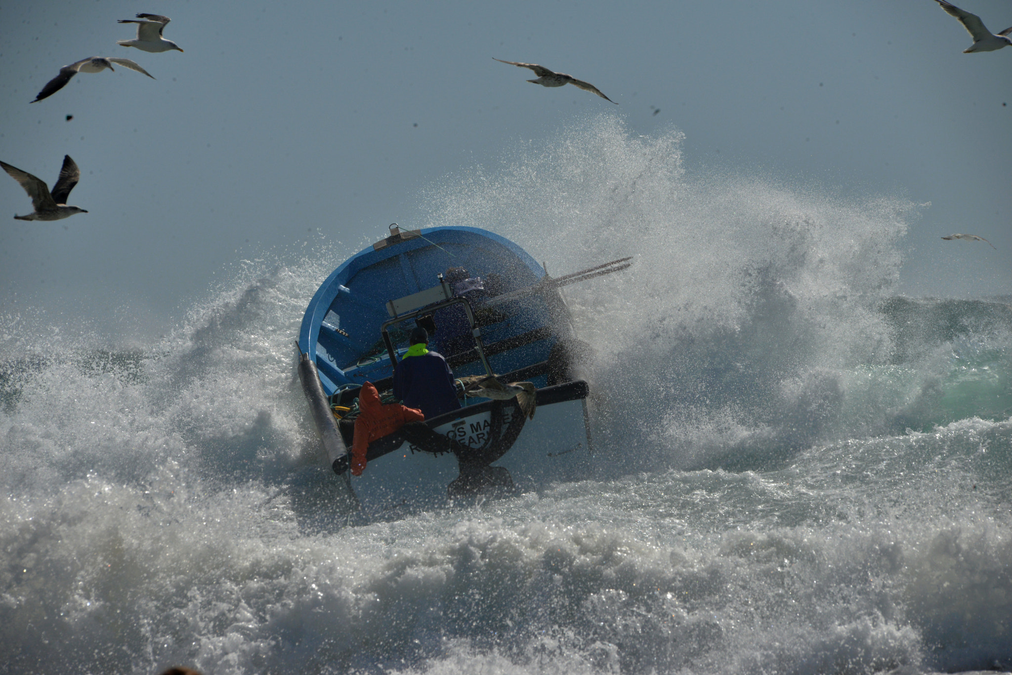 Sigma 150-500mm F5-6.3 DG OS HSM sample photo. Sentir a arte xavega photography