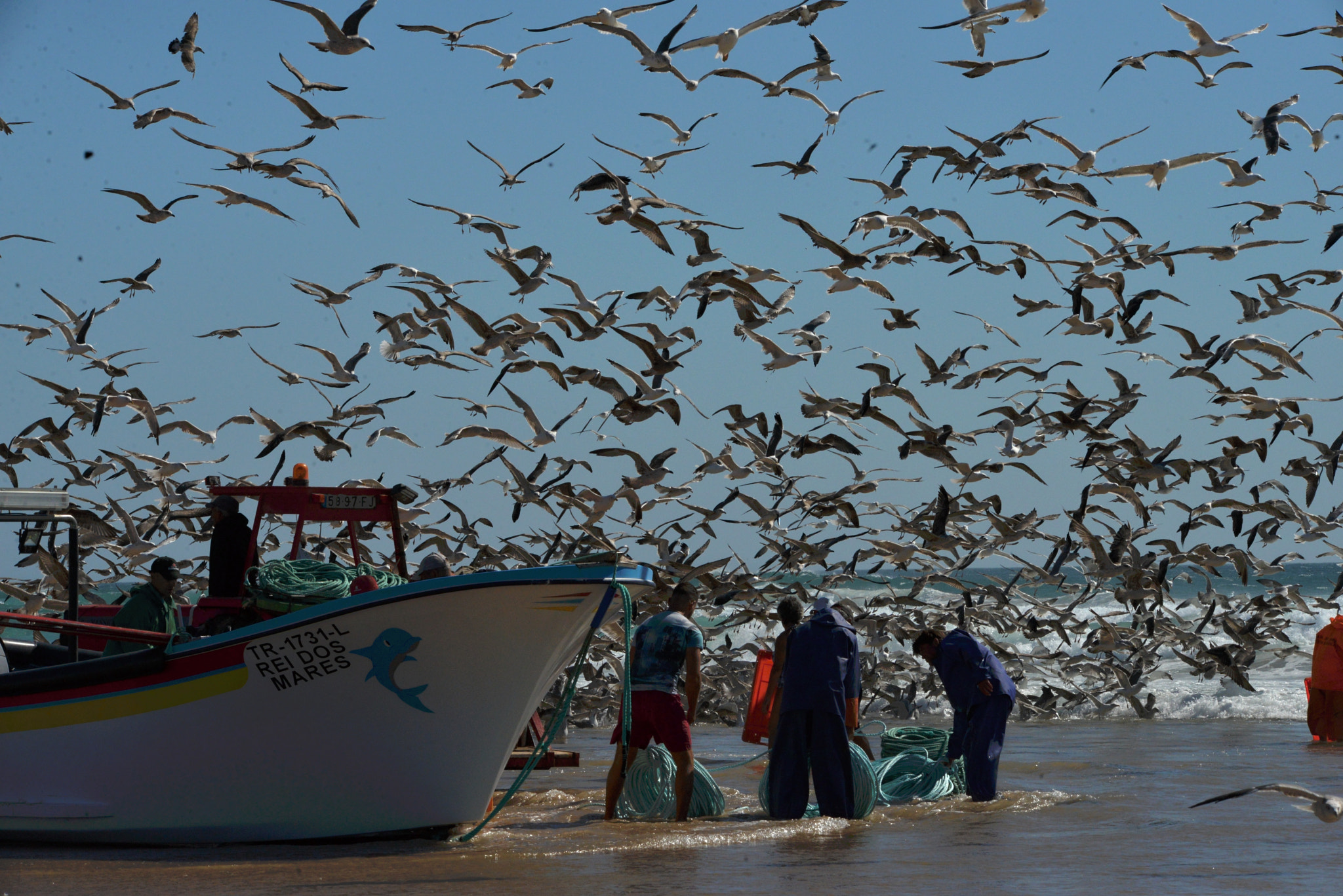 Sigma 150-500mm F5-6.3 DG OS HSM sample photo. Sentir a arte xavega photography