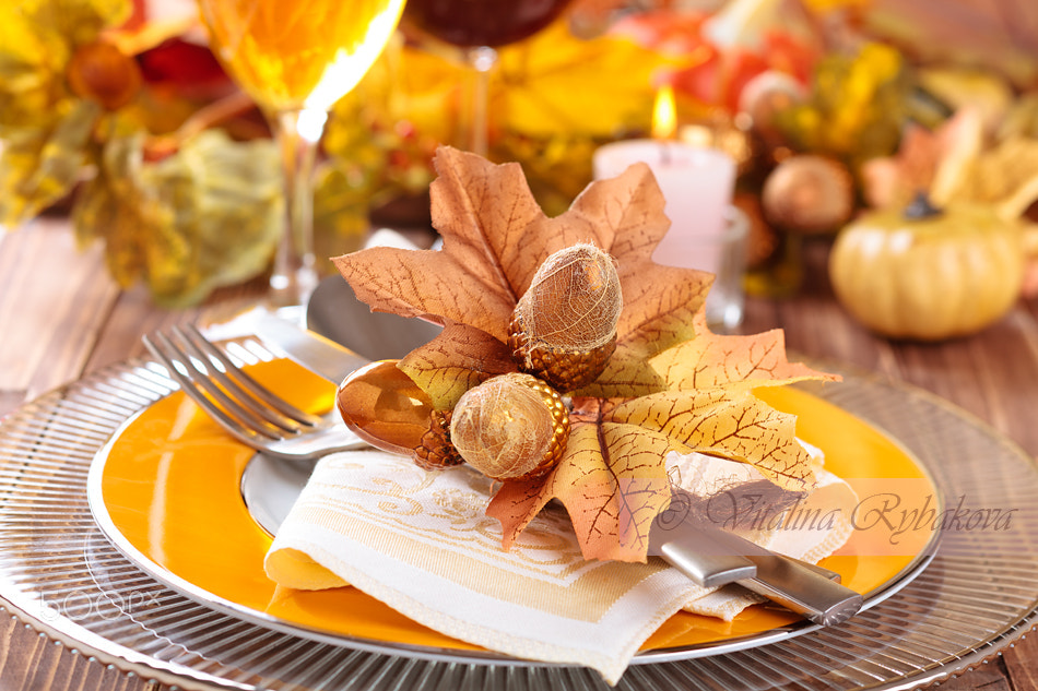 Canon TS-E 90mm F2.8 Tilt-Shift sample photo. Thanksgiving dinner decoration. photography