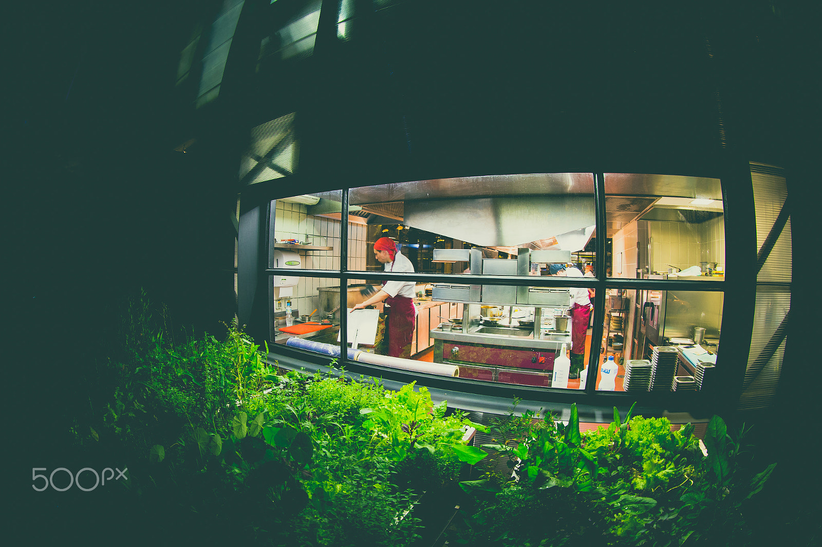 Canon EF 8-15mm F4L Fisheye USM sample photo. Tuju restaurant photography