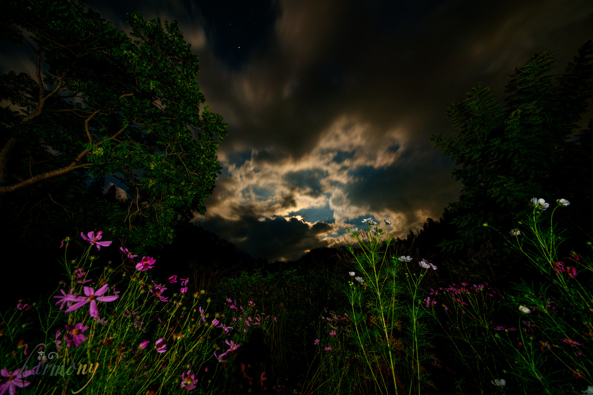 Sigma 12-24mm F4.5-5.6 II DG HSM sample photo. Full moon behind the clouds photography