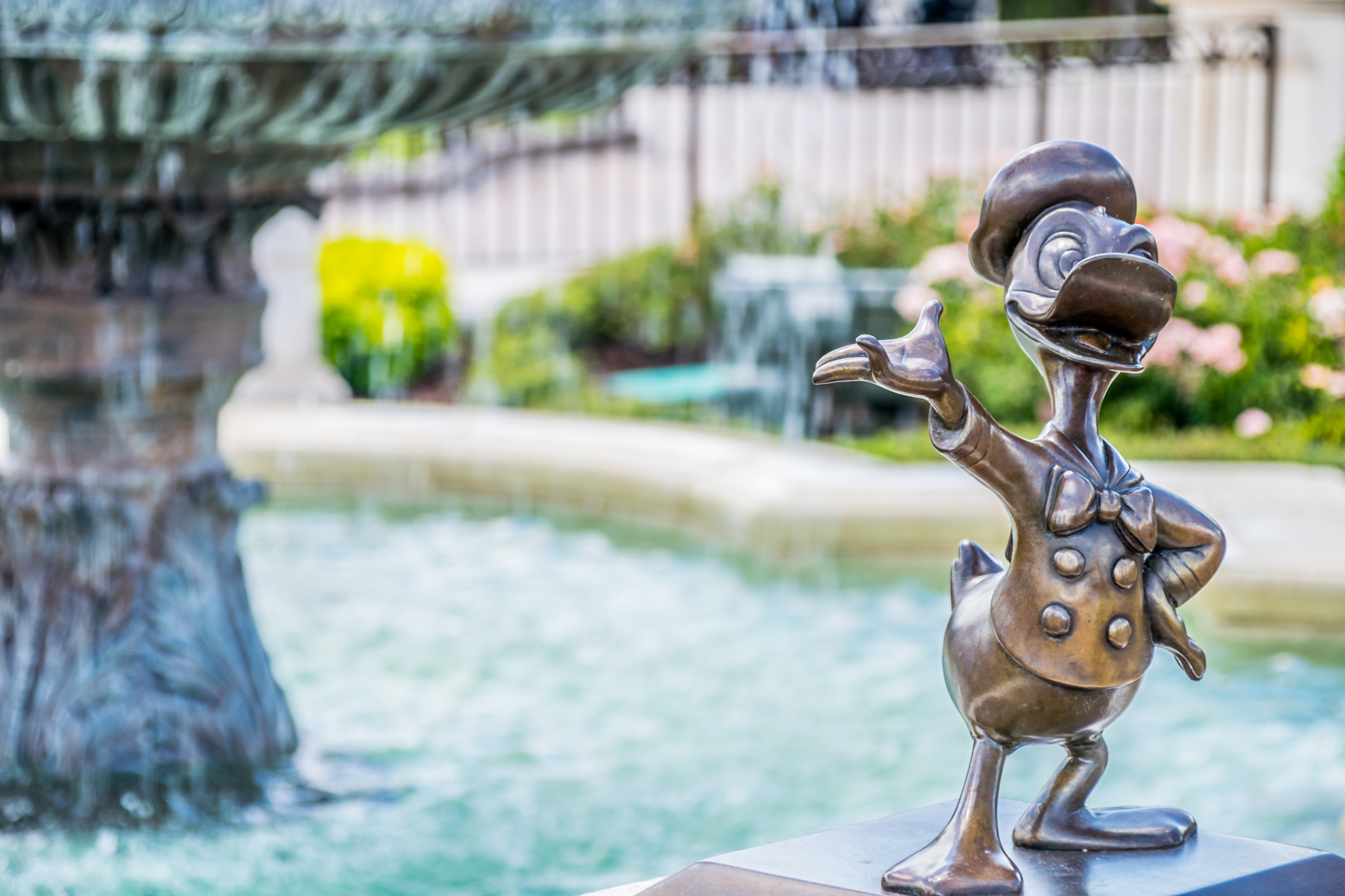 Sigma 28-300mm F3.5-6.3 DG Macro sample photo. Donald duck photography
