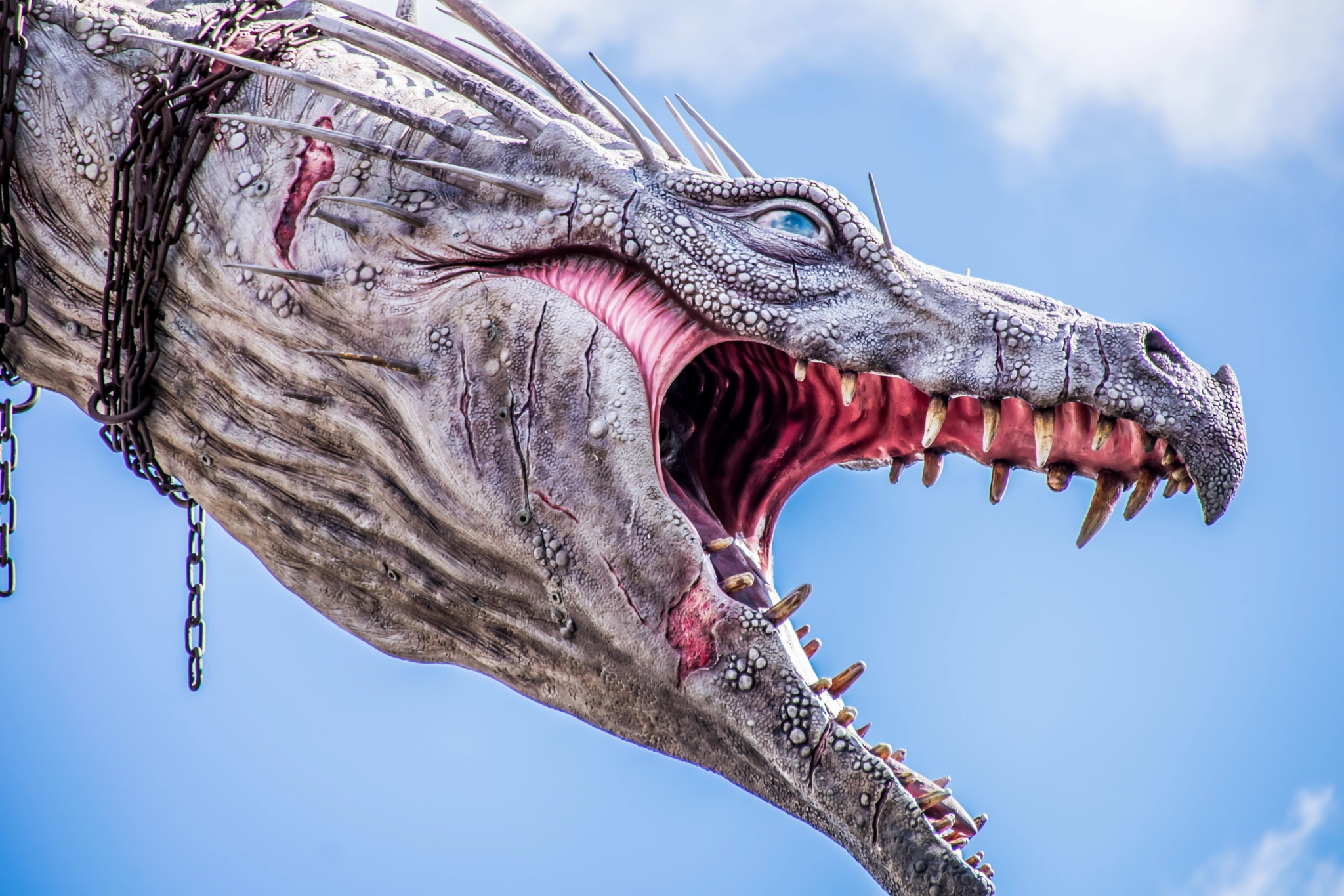 Sigma 28-300mm F3.5-6.3 DG Macro sample photo. Dragon photography