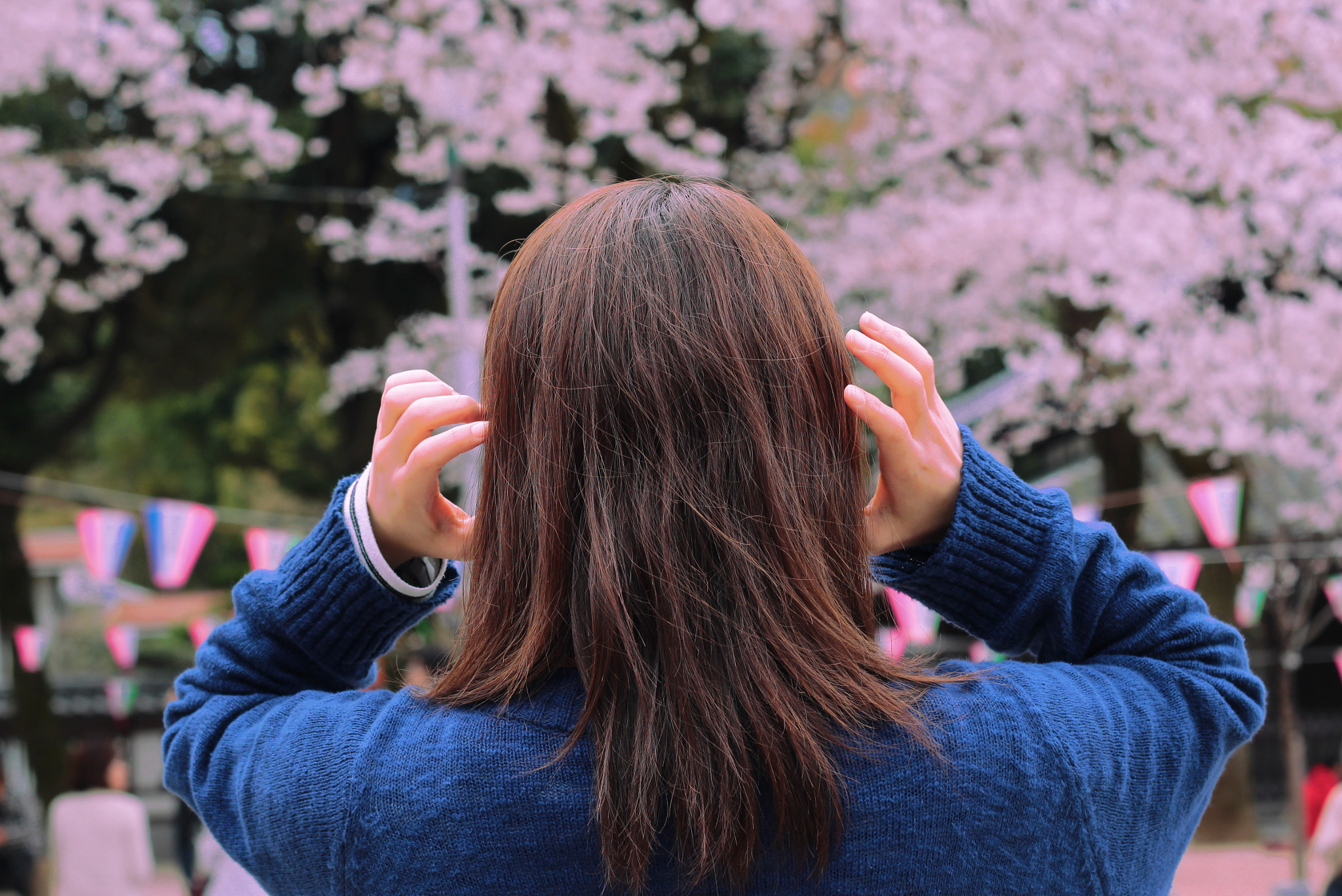 Canon EOS 600D (Rebel EOS T3i / EOS Kiss X5) sample photo. Sakura photography